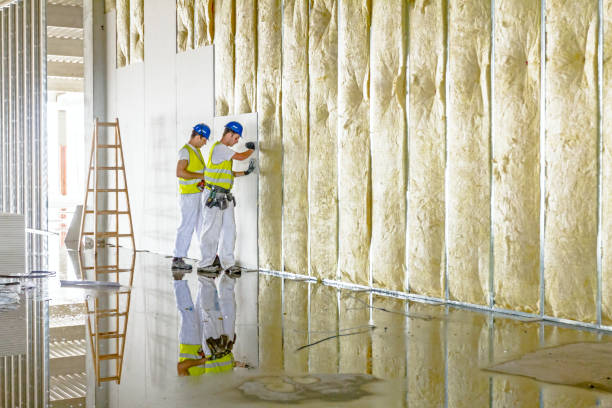Best Spray Foam Insulation in Dysart, IA